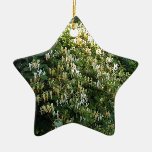 Kamperfoelie tegen een muur keramisch ornament (Voorkant)