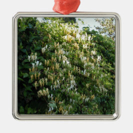 Kamperfoelie Tegen Een Muur Metalen Ornament