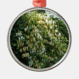 Kamperfoelie Tegen Een Muur Metalen Ornament