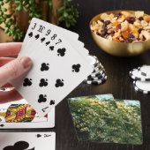 Kamperfoelie tegen een muur pokerkaarten (Insitu)