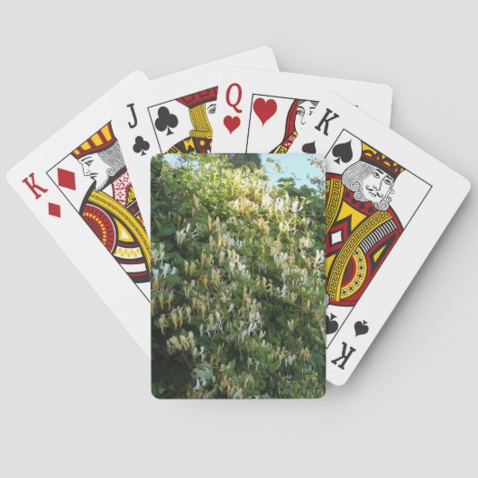 Kamperfoelie tegen een muur pokerkaarten (Achterkant)