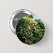 Kamperfoelie tegen een muur ronde button 5,7 cm (Voorkant /achterkant)
