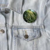 Kamperfoelie tegen een muur ronde button 5,7 cm (In situ)
