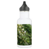 Kamperfoelie tegen een muur waterfles (Rechts)