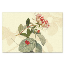  kamperfoelie tissuepapier