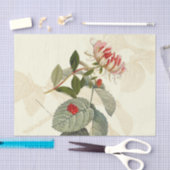  kamperfoelie tissuepapier (Craft)