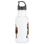 Kampioen Thoroughbred wint grote race Waterfles (Achterkant)