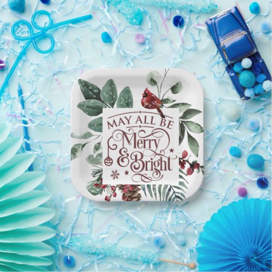 Kan allemaal mooi en helder zijn papieren bordje (Feest)