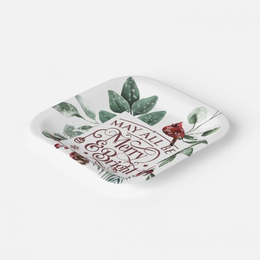 Kan allemaal mooi en helder zijn papieren bordje (Gebogen)