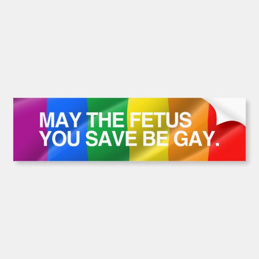 KAN DE FETUS DIE JE OPSPEELT, GAY.png ZIJN. Bumpersticker (Voorkant)