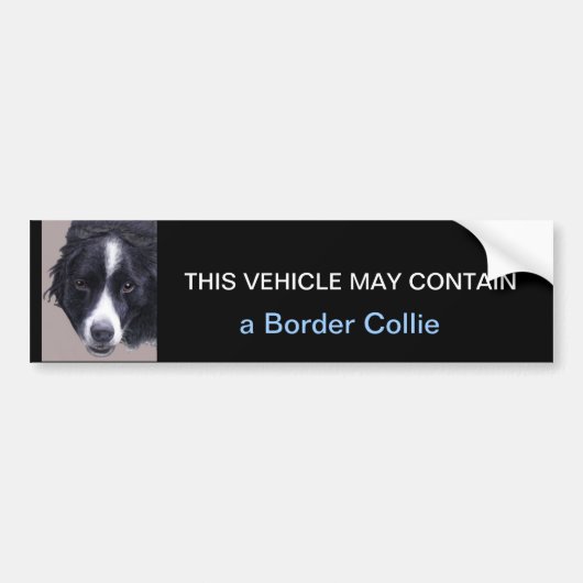 kan een border collie bevatten bumpersticker (Voorkant)