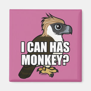 Kan ik aap hebben? magneet