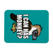 Kan ik aap hebben? magneet (Horizontaal)