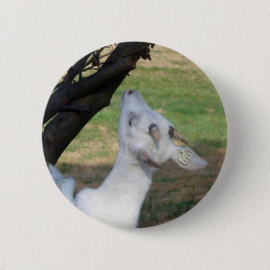 Kan ik deze boom beklimmen? ronde button 5,7 cm (Voorkant)