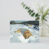 KAN IK HIER BLIJVEN? BRIEFKAART (Staand voorkant)