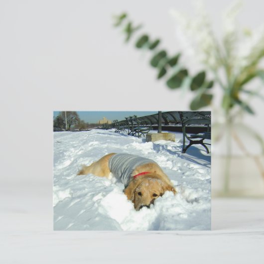 KAN IK HIER BLIJVEN? BRIEFKAART (Staand voorkant)