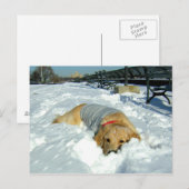 KAN IK HIER BLIJVEN? BRIEFKAART (Voorkant / Achterkant)