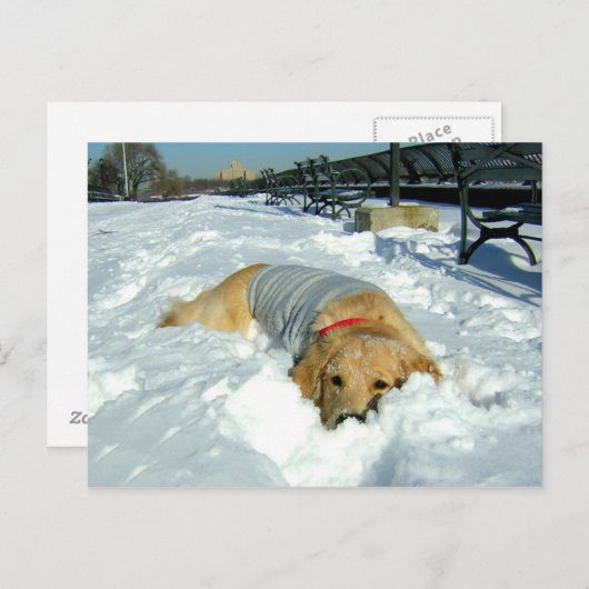 KAN IK HIER BLIJVEN? BRIEFKAART (Voorkant / Achterkant)