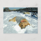 KAN IK HIER BLIJVEN? BRIEFKAART (Voorkant)