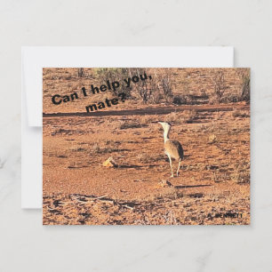 Kan ik je helpen, maat? briefkaart