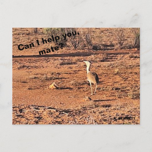 Kan ik je helpen, maat? briefkaart (Voorkant)