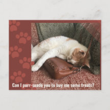 Kan ik je overhalen Cute Cat Puzzle