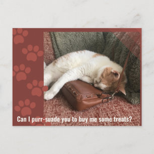 Kan ik je overhalen Cute Cat Puzzle Briefkaart