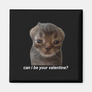 Kan ik je Valentijn zijn Funny Cat Meme Brainrot G Magneet