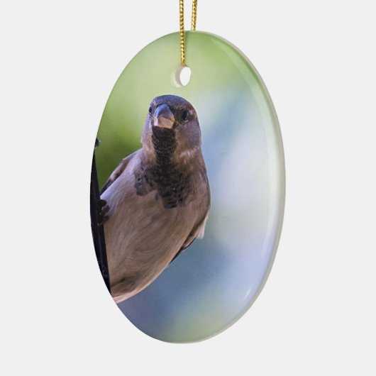 Kan je besparen keramisch ornament (Links)