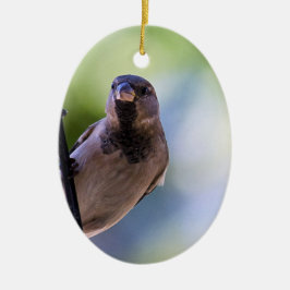 Kan je besparen keramisch ornament