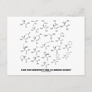 Kan je de 20-Aminozuren identificeren? (Chemie) Briefkaart