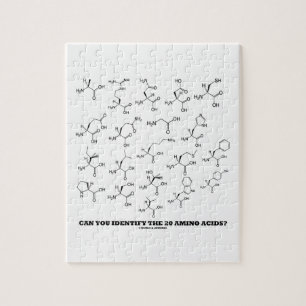 Kan je de 20-Aminozuren identificeren? (Chemie) Legpuzzel