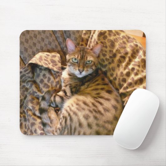 Kan je me zien? muismat (Met muis)