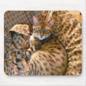 Kan je me zien? muismat (Voorkant)