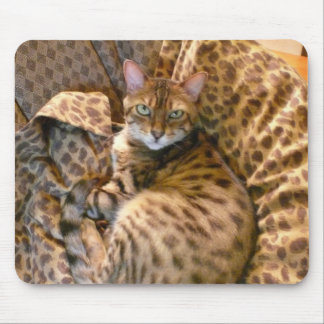 Kan je me zien? muismat