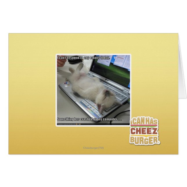 Kan niet reageren (Voorkant Horizontaal)