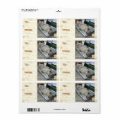 Kan niet reageren etiket (Full Sheet)