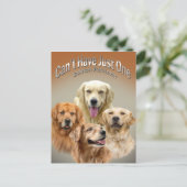 Kan niet slechts één Golden Retriever Briefkaart h (Staand voorkant)