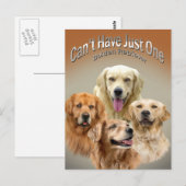 Kan niet slechts één Golden Retriever Briefkaart h (Voorkant / Achterkant)