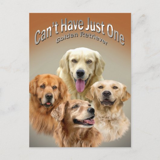Kan niet slechts één Golden Retriever Briefkaart h (Voorkant)