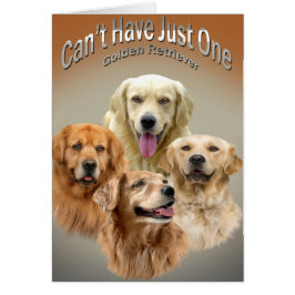 Kan niet slechts één Golden Retriever kaarten hebb