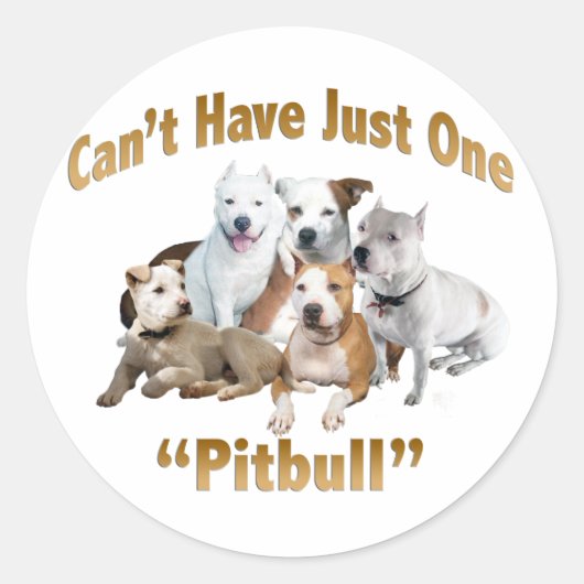 Kan niet slechts één Pitbull hebben Ronde Sticker (Voorkant)
