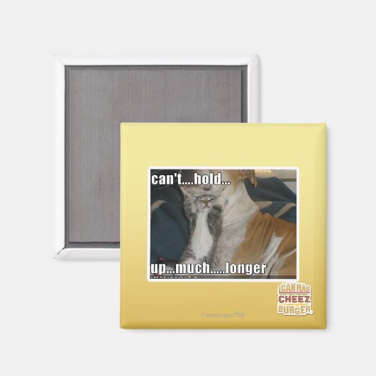 Kan niet veel langer omhoog houden magneet (Voorkant / Achterkant)