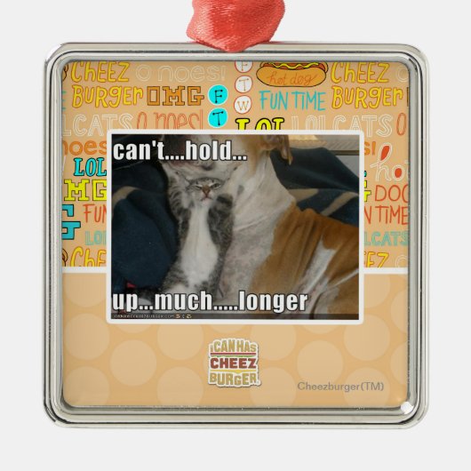 Kan niet veel langer omhoog houden metalen ornament (Voorkant)