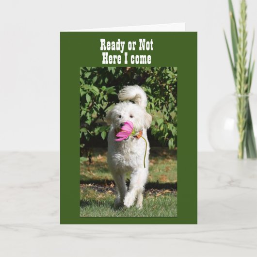 KAN NIET WACHTEN OP CELEBRATE **ONZE JUBILEUM* KAA KAART (Voorkant)