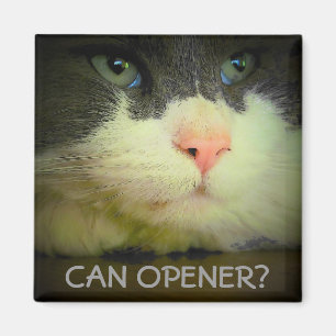 Kan Opener? Magneet