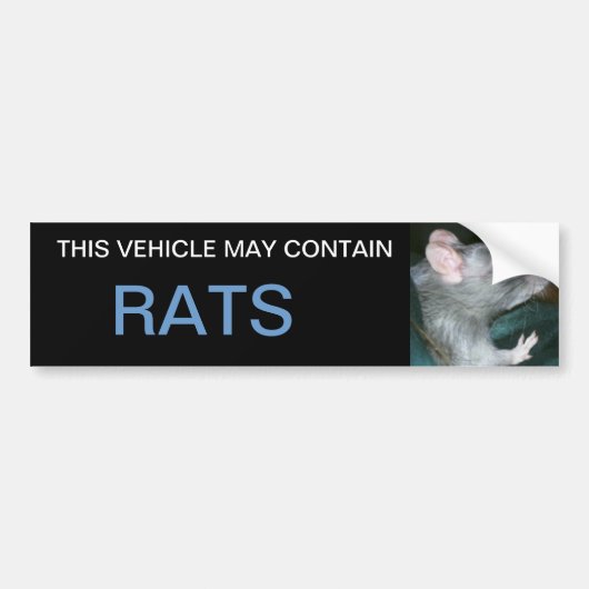 Kan ratten bumper sticker bevatten (Voorkant)