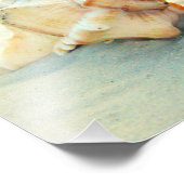 Kan u altijd een Shell in uw Zak hebben Foto Afdruk (Hoek)