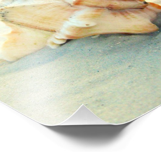 Kan u altijd een Shell in uw Zak hebben Foto Afdruk (Hoek)