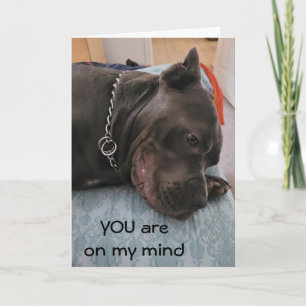 KAN U NIET SLAPEN/U TE KAART VERMISSEN